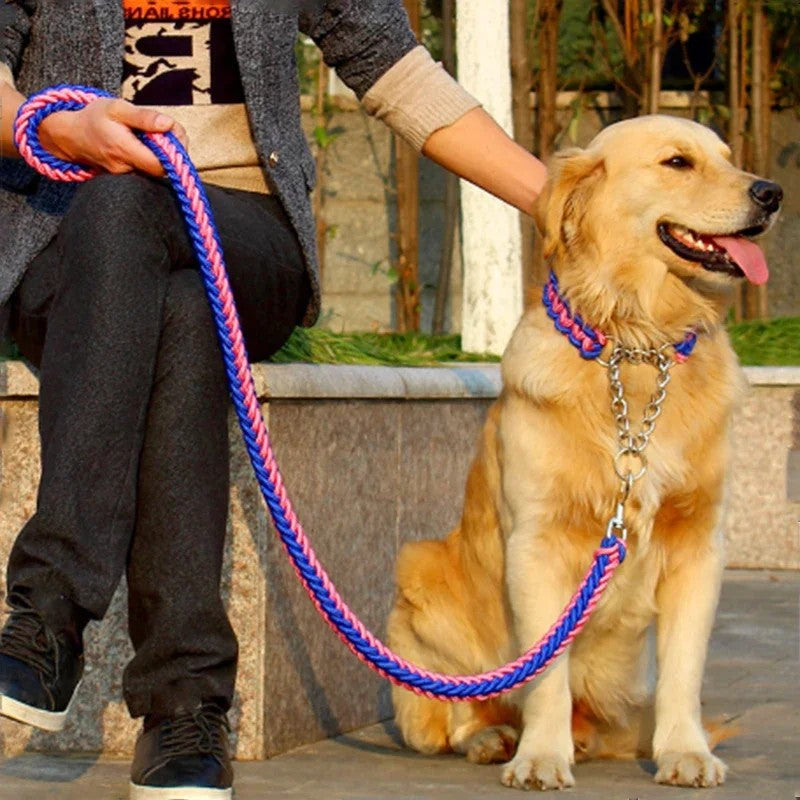Collars/Leashes