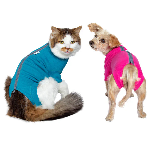 Pet Apparel